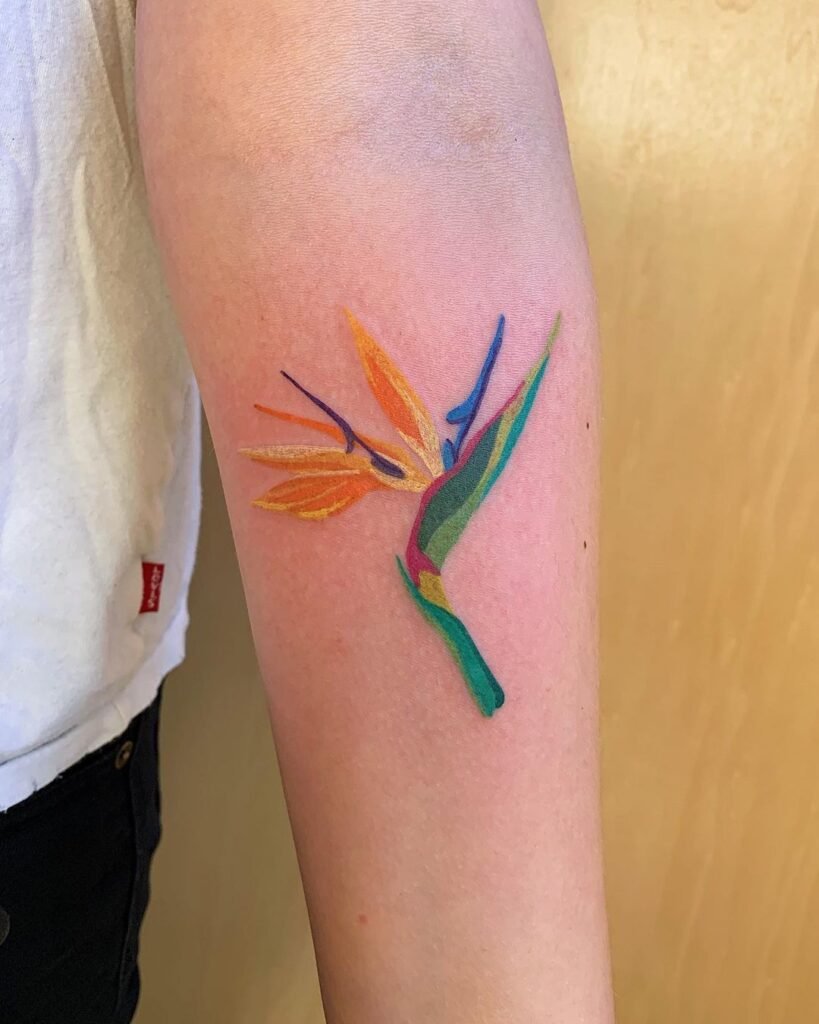 arm bird of paradise tattoo