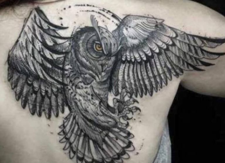 Back owl art