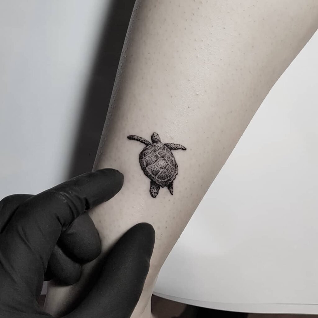 small turtledesign