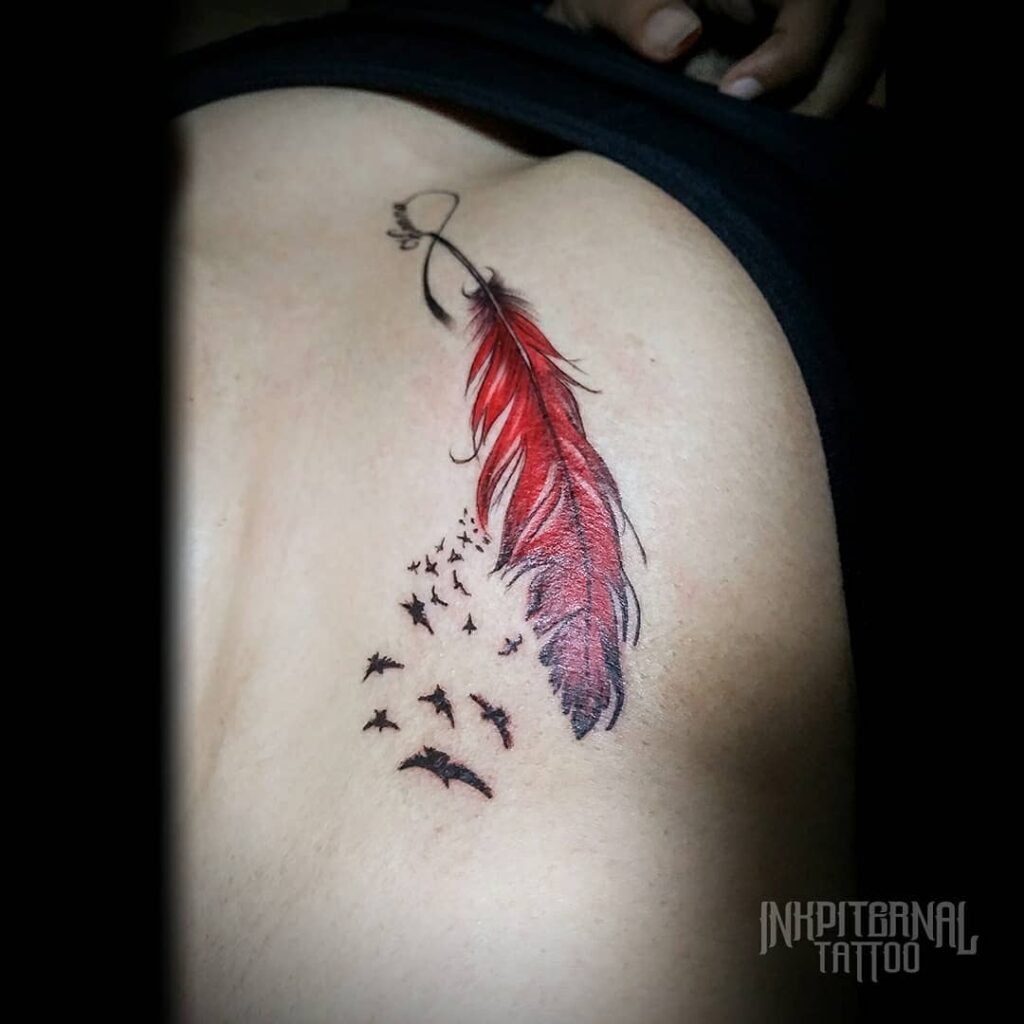 Feather Cardinaldesign