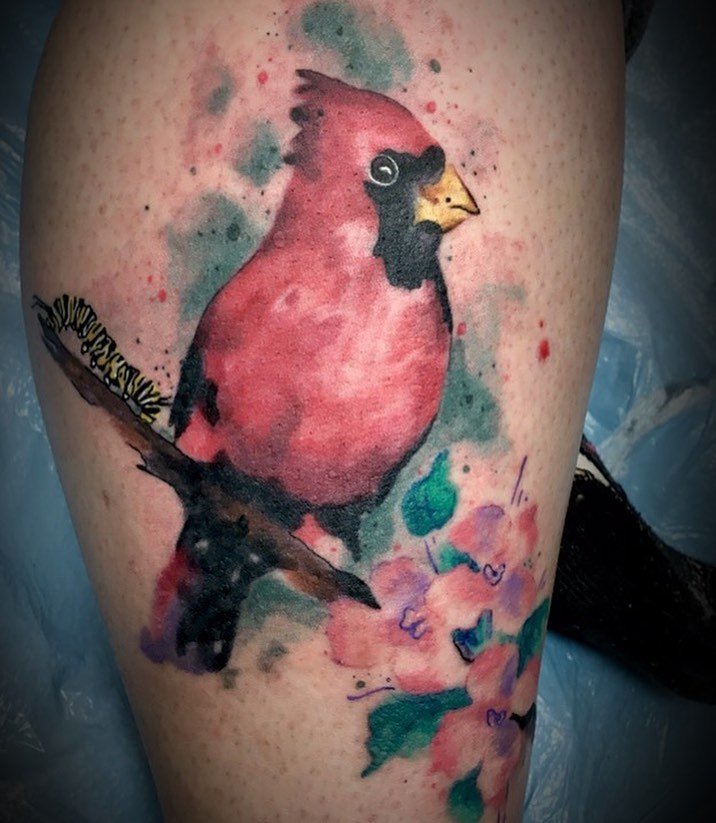 Watercolor Cardinal Tattoo